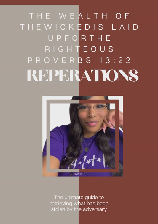 The Wealth of Wicked is Laid Up for the Righteous Ebook